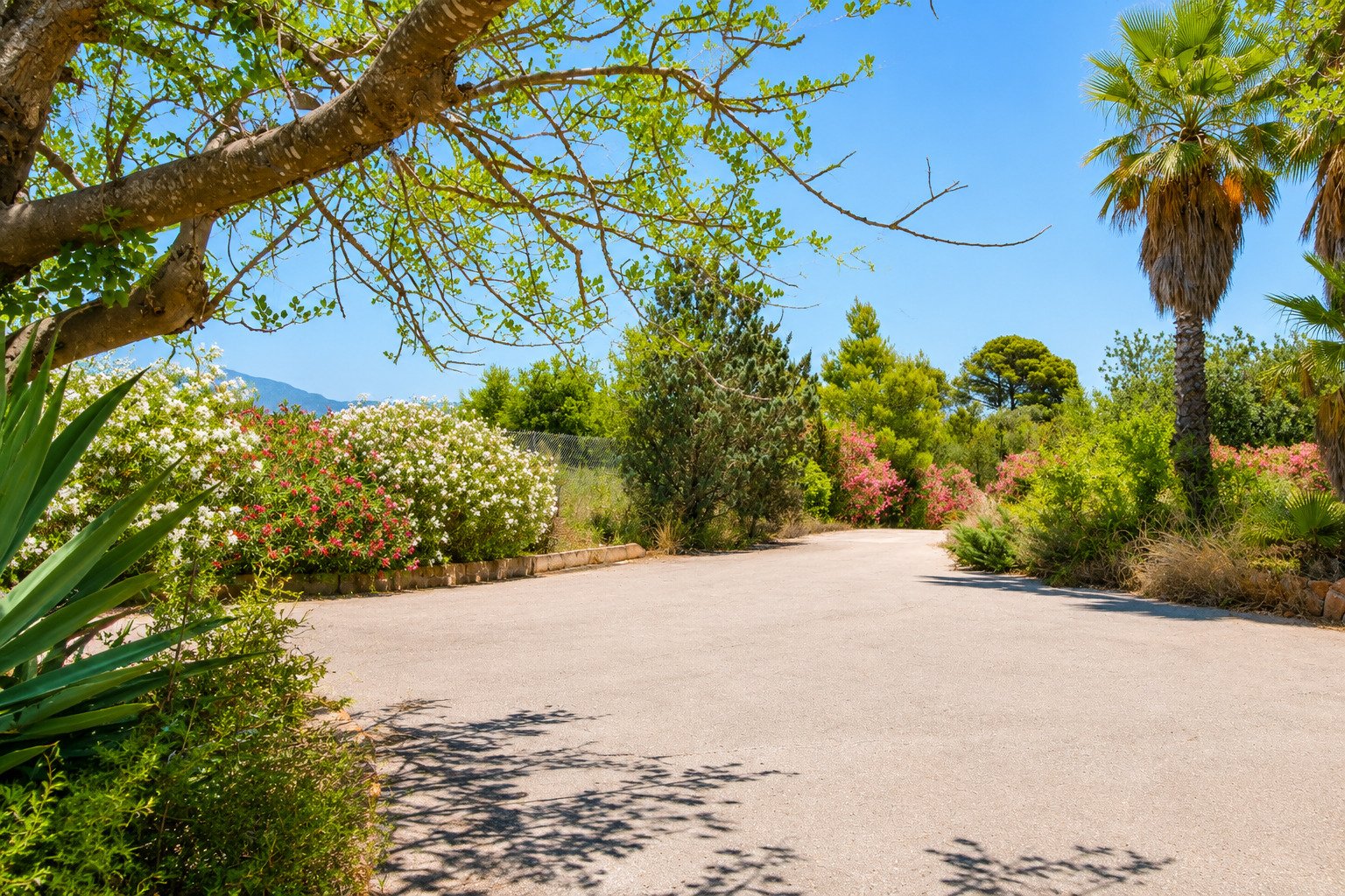 Parkähnliches Grundstück mit mediterraner Bepflanzung und malerischen Blickachsen Parkähnliches Grundstück mit mediterraner Bepflanzung und malerischen Blickachsen
