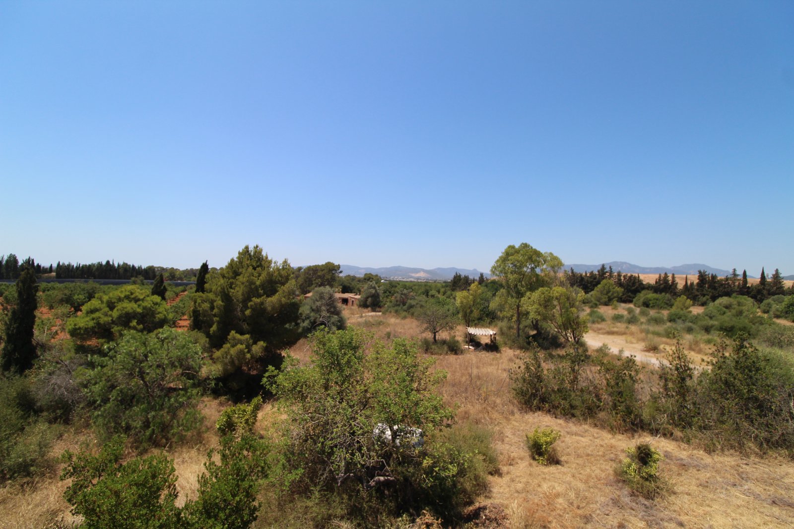 Weitläufiges Waldgrundstück mit unverbaubarem Panoramablick auf die Berglandschaft Weitläufiges Waldgrundstück mit unverbaubarem Panoramablick auf die Berglandschaft