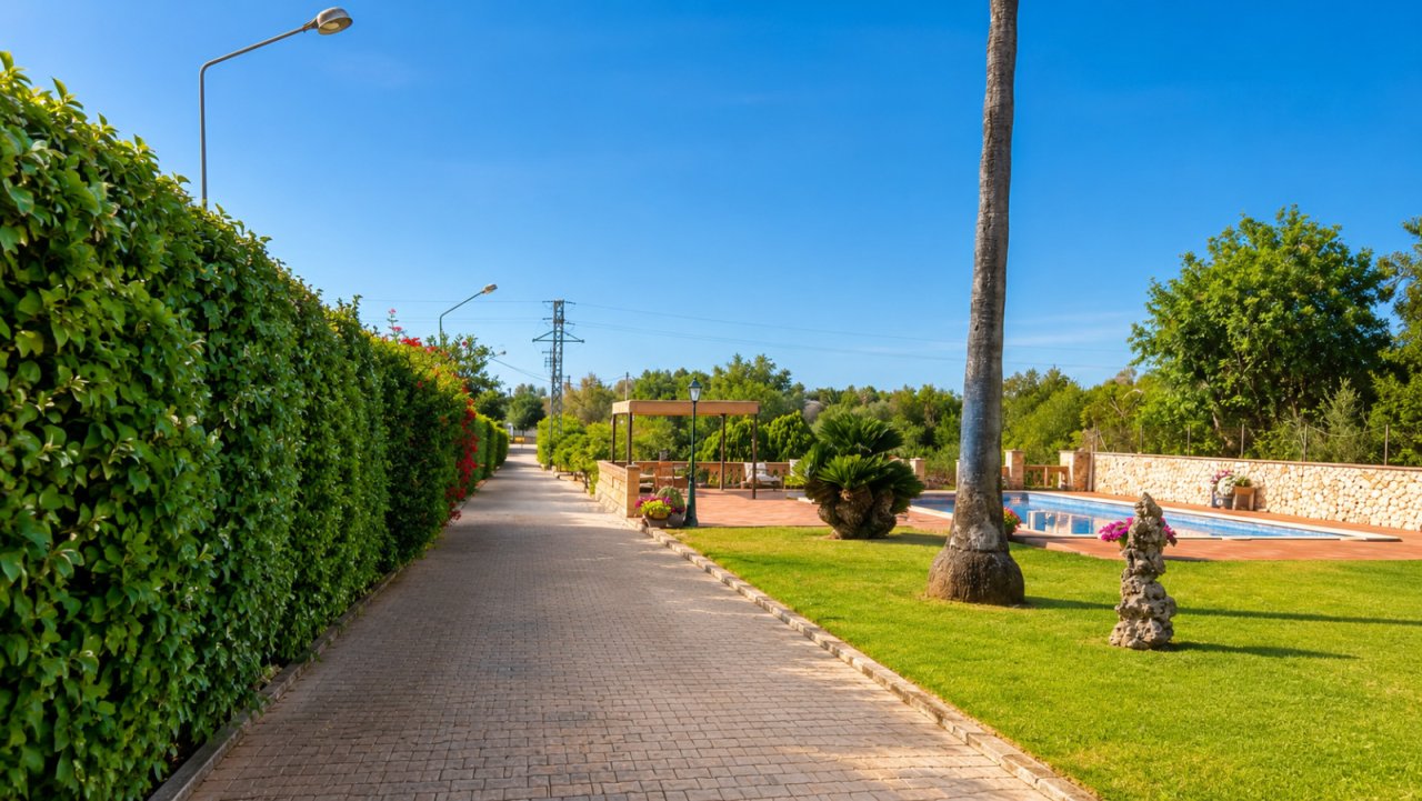 Gepflegte Gartenanlage mit befestigten Wegen und vielseitigen Außenbereichen Gepflegte Gartenanlage mit befestigten Wegen und vielseitigen Außenbereichen