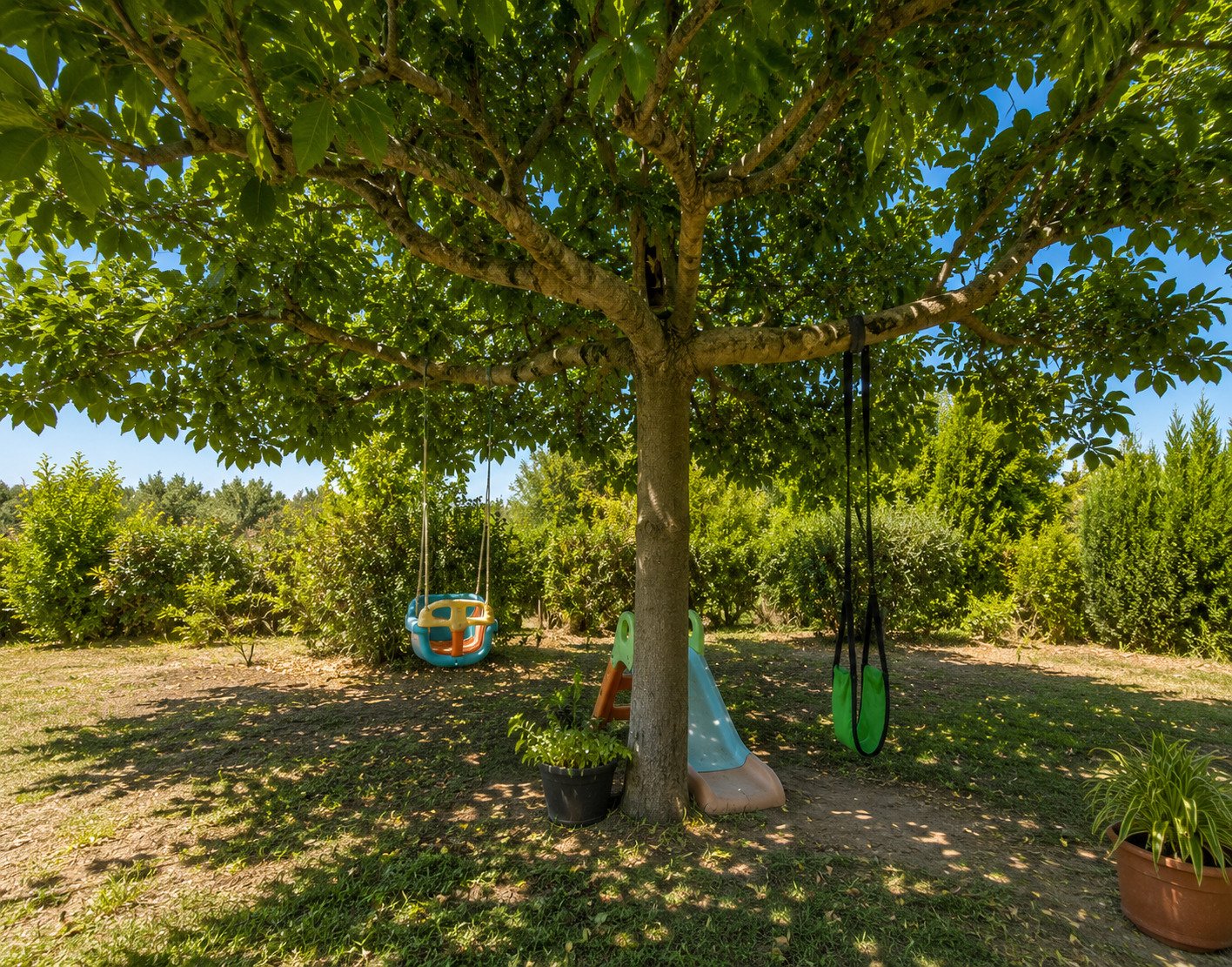 Naturbelassener Garten mit altem Baumbestand – idealer Spielbereich für Kinder und Erholung