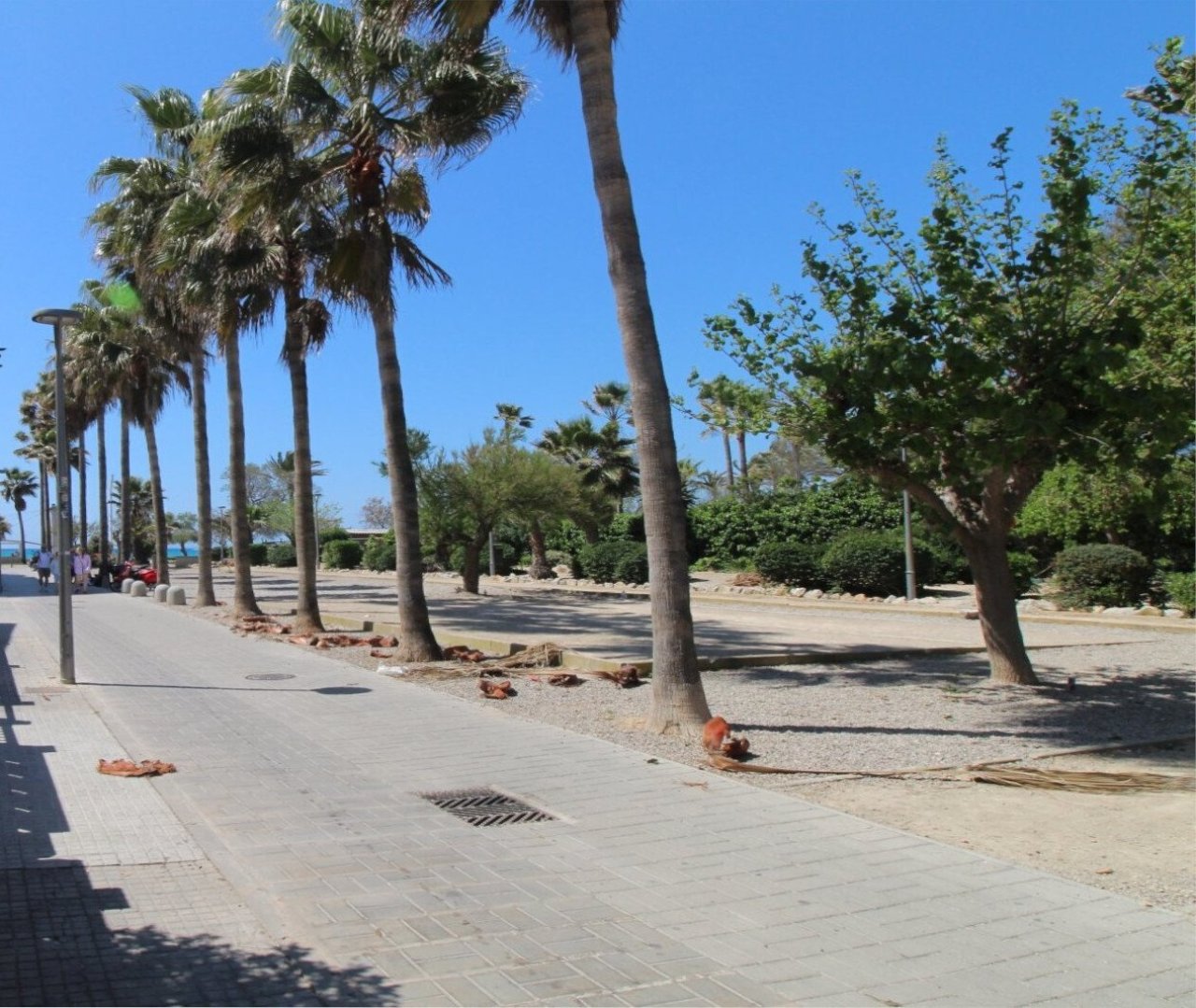 Promenadenlage mit direktem Zugang zur Strandpromenade Promenadenlage mit direktem Zugang zur Strandpromenade