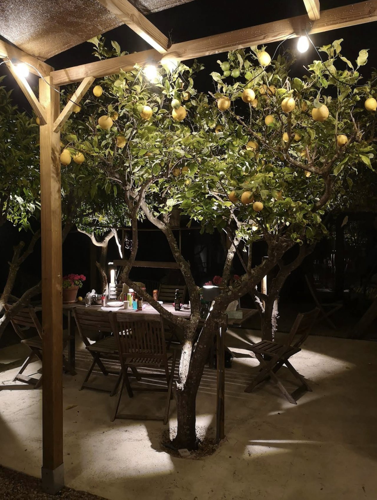 Überdachte Pergola mit professioneller LED-Beleuchtung und befestigter Terrasse – idealer Außenbereich zum Verweilen Überdachte Pergola mit professioneller LED-Beleuchtung und befestigter Terrasse – idealer Außenbereich zum Verweilen