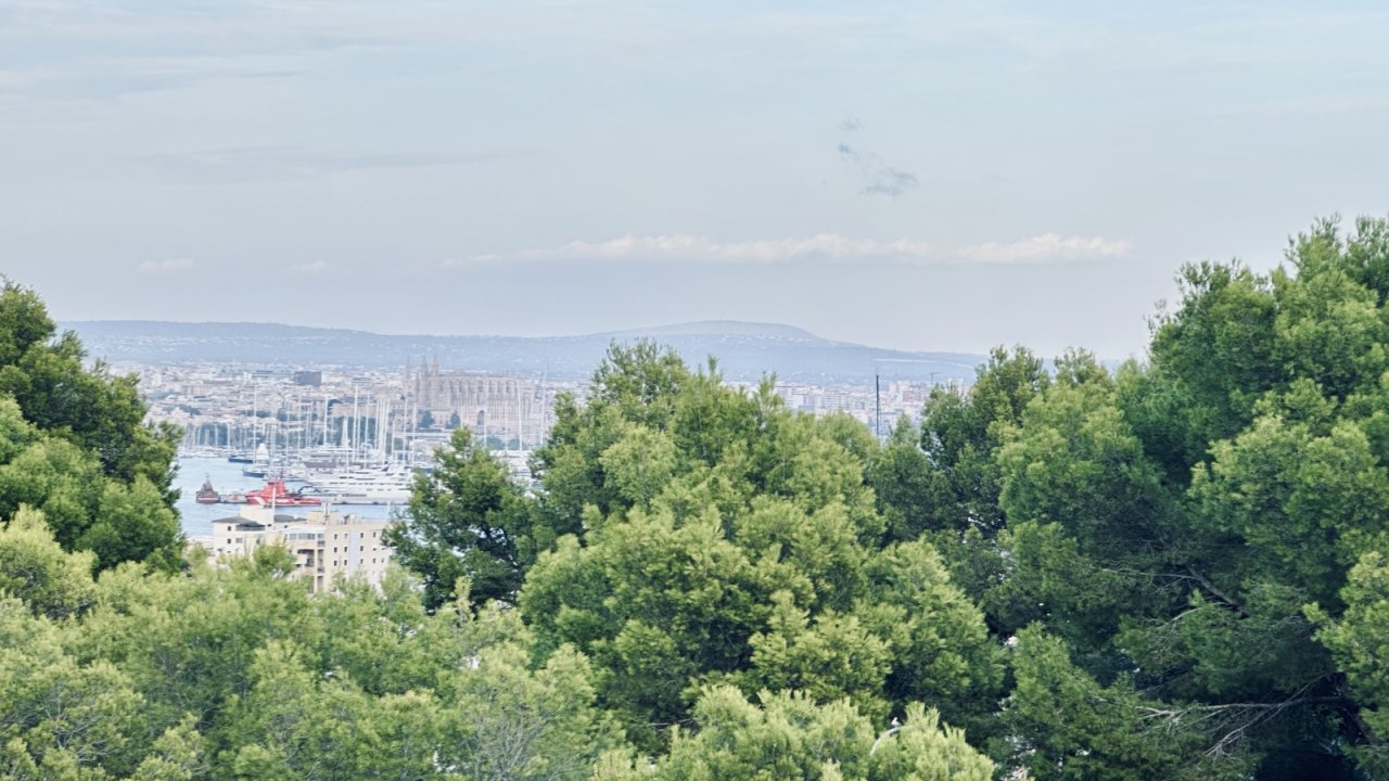 Ausblick von der eigenen Dachterrasse