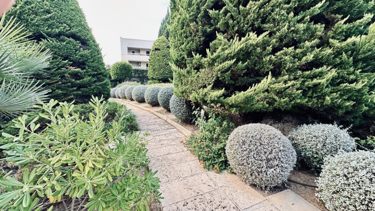 Gemeinschaftsgarten