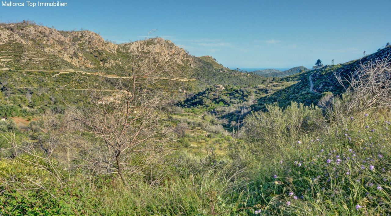Luxus Finca in wunderschöner Lage () Luxus Finca in wunderschöner Lage ()
