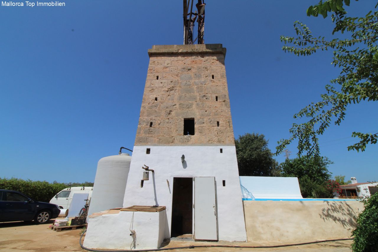 Finca mit eigener Windmühle und Olivenplantage Finca mit eigener Windmühle und Olivenplantage