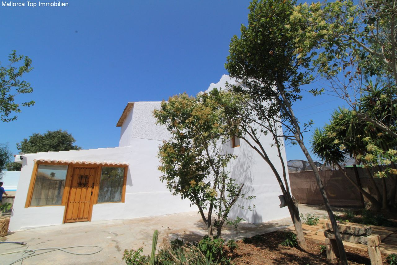 Finca mit eigener Windmühle und Olivenplantage Finca mit eigener Windmühle und Olivenplantage
