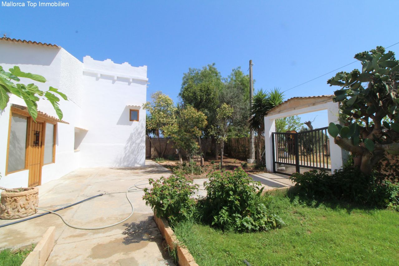 Finca mit eigener Windmühle und Olivenplantage Finca mit eigener Windmühle und Olivenplantage