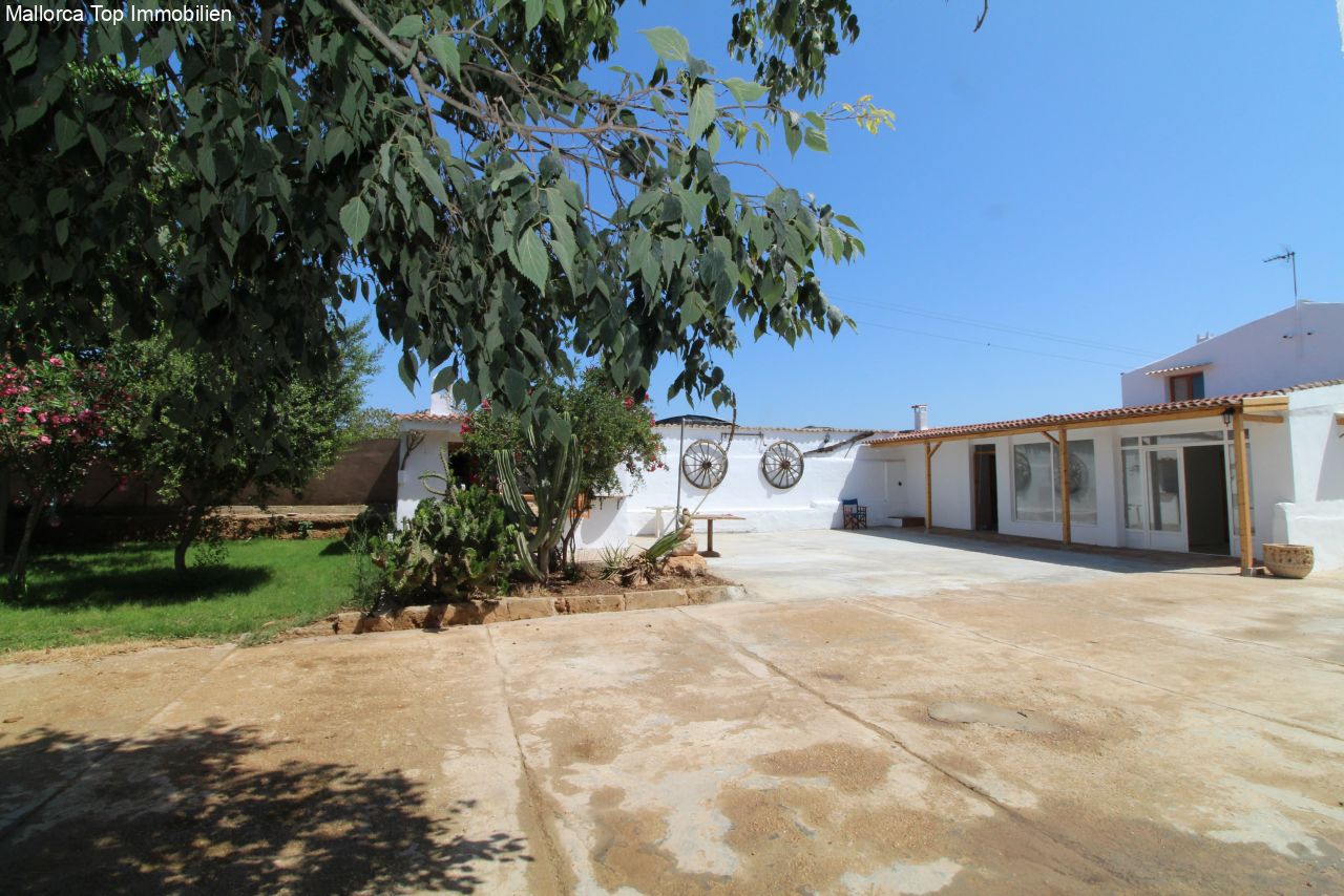 Finca mit eigener Windmühle und Olivenplantage Finca mit eigener Windmühle und Olivenplantage