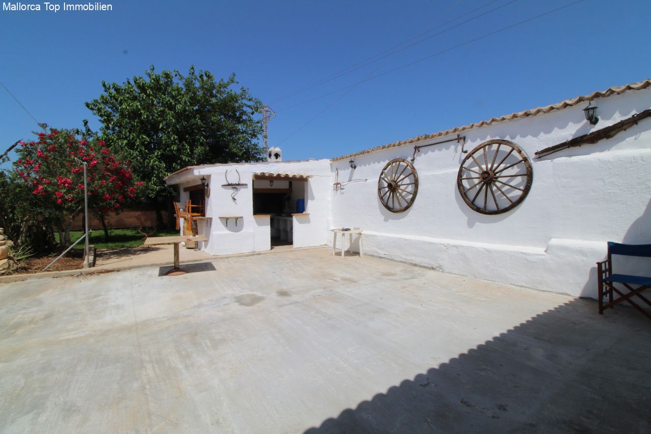 Finca mit eigener Windmühle und Olivenplantage Finca mit eigener Windmühle und Olivenplantage