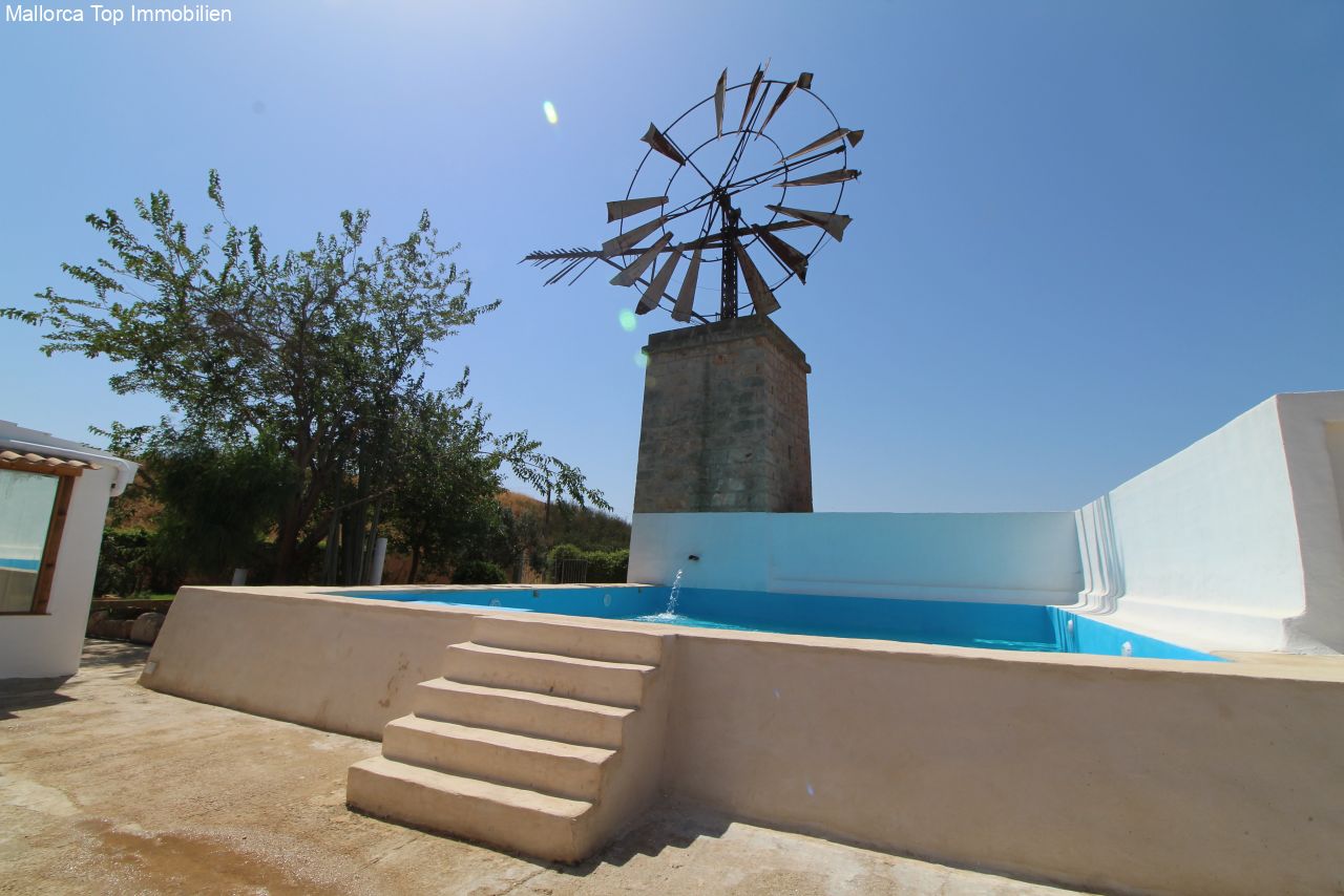Finca mit eigener Windmühle und Olivenplantage Finca mit eigener Windmühle und Olivenplantage