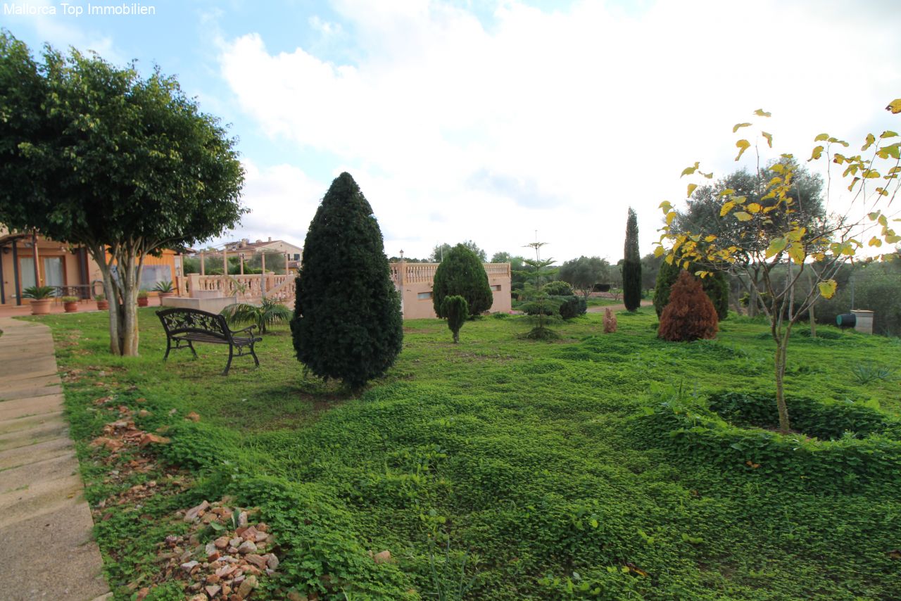 Parkähnliche Gartenanlage mit altem Baumbestand und vielfältigen Grünflächen
