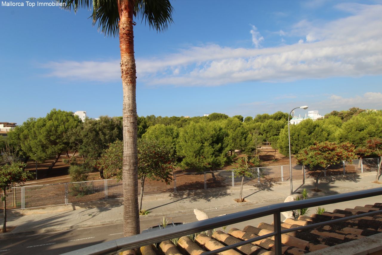 Blick vom Balkon auf den Park