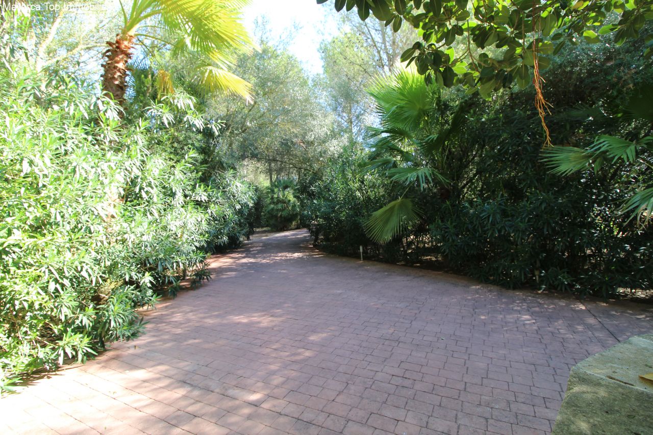 Verwunschener Gartenweg mit üppiger Bepflanzung und natürlichem Baumtunnel Verwunschener Gartenweg mit üppiger Bepflanzung und natürlichem Baumtunnel