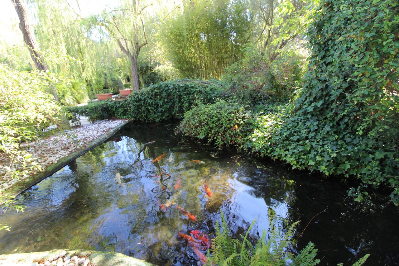 Idyllischer Bachlauf mit naturbelassenem Uferbereich und altem Baumbestand Idyllischer Bachlauf mit naturbelassenem Uferbereich und altem Baumbestand