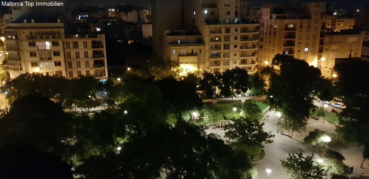 Park Park