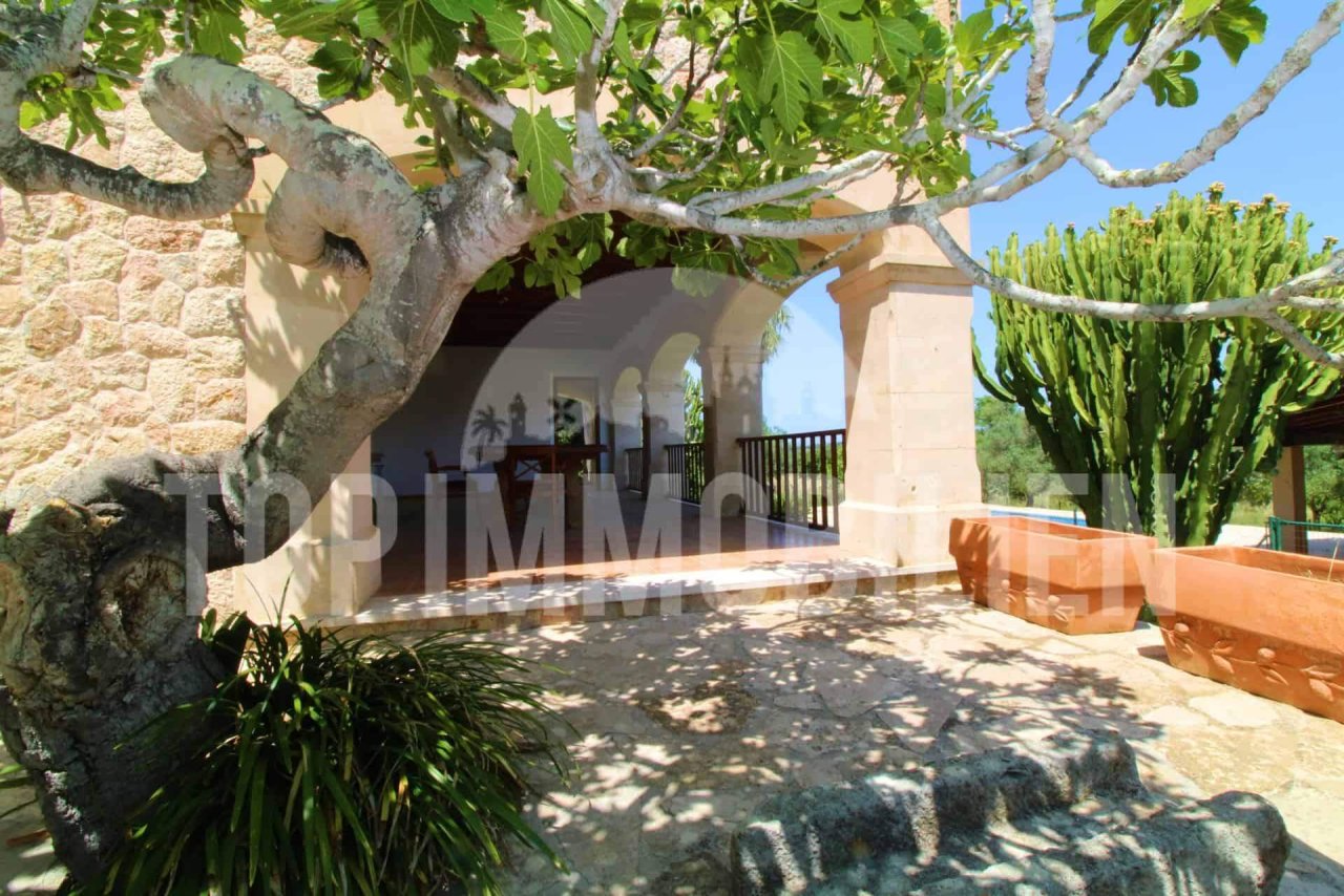 Finca in Alcudia Finca in Alcudia