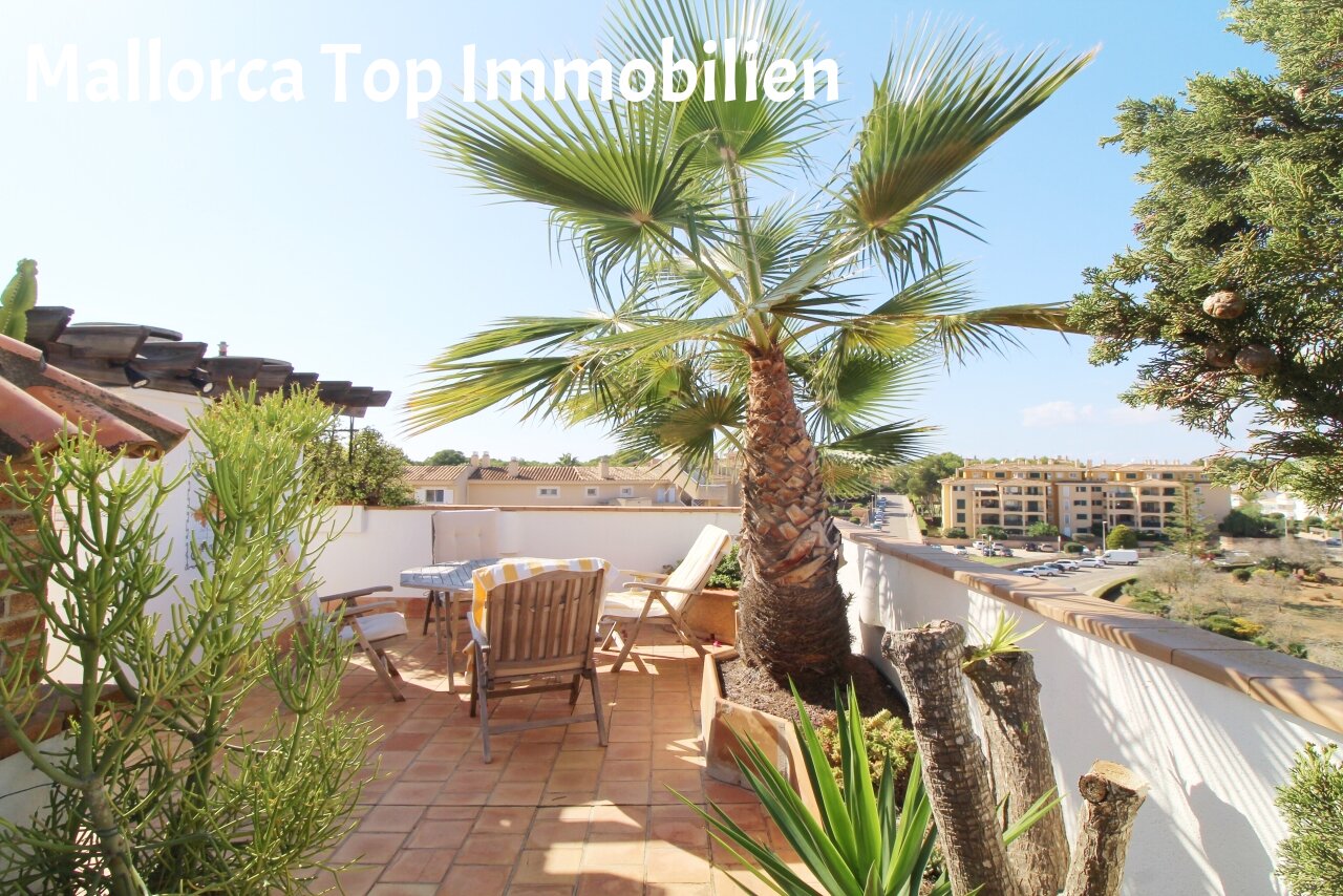 Penthaus mit mediterraner Dachterrasse und Garage  Penthaus mit mediterraner Dachterrasse und Garage