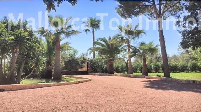 Finca Anwesen in Cas Concos Finca Anwesen in Cas Concos