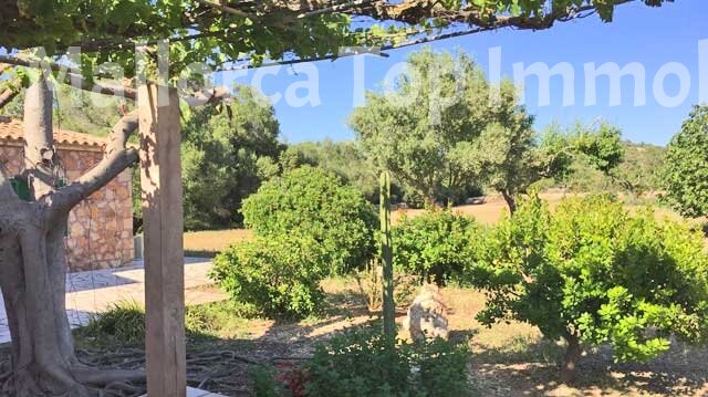 Finca Anwesen in Cas Concos Finca Anwesen in Cas Concos