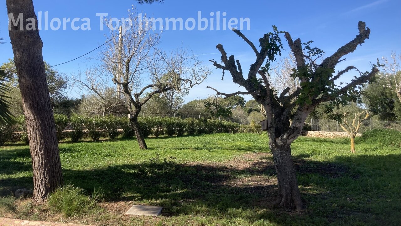 Finca Anwesen in Cas Concos Finca Anwesen in Cas Concos
