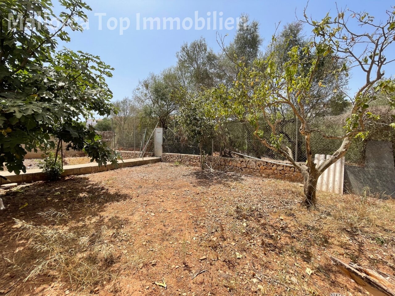 Naturbelassener Garten mit etabliertem Baumbestand und umfassenden Gestaltungsmöglichkeiten Naturbelassener Garten mit etabliertem Baumbestand und umfassenden Gestaltungsmöglichkeiten