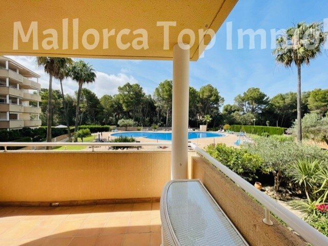 Wohnung in bevorzugter Wohnanlage mit grossem Pool  Wohnung in bevorzugter Wohnanlage mit grossem Pool