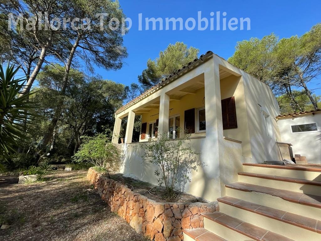 Bezaubernde rustikale Finca im Naturschutzgebiet   Bezaubernde rustikale Finca im Naturschutzgebiet