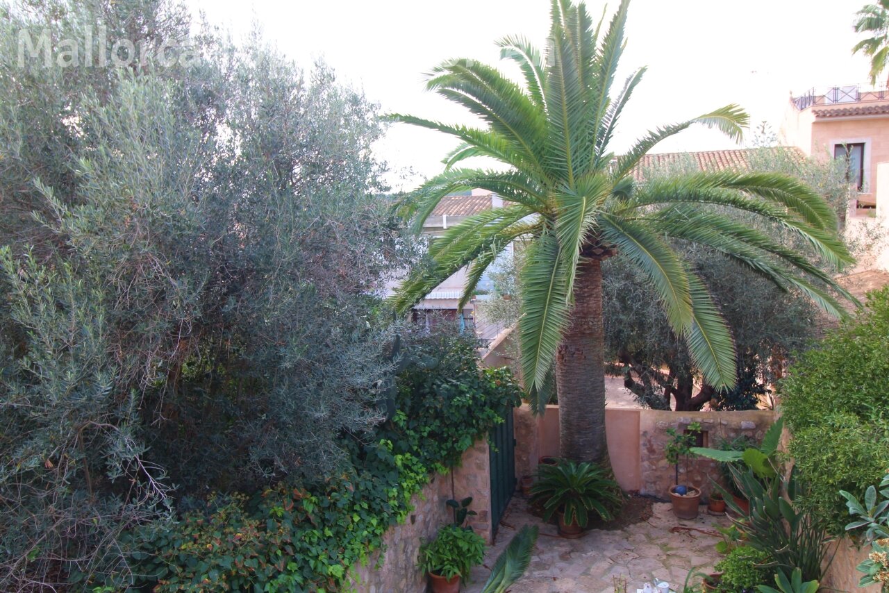 Palmengarten Palmengarten