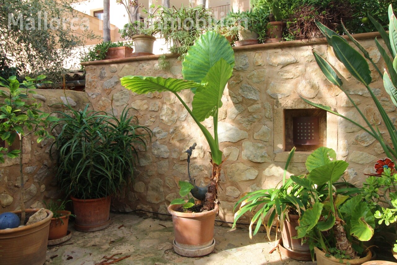 Garten Garten