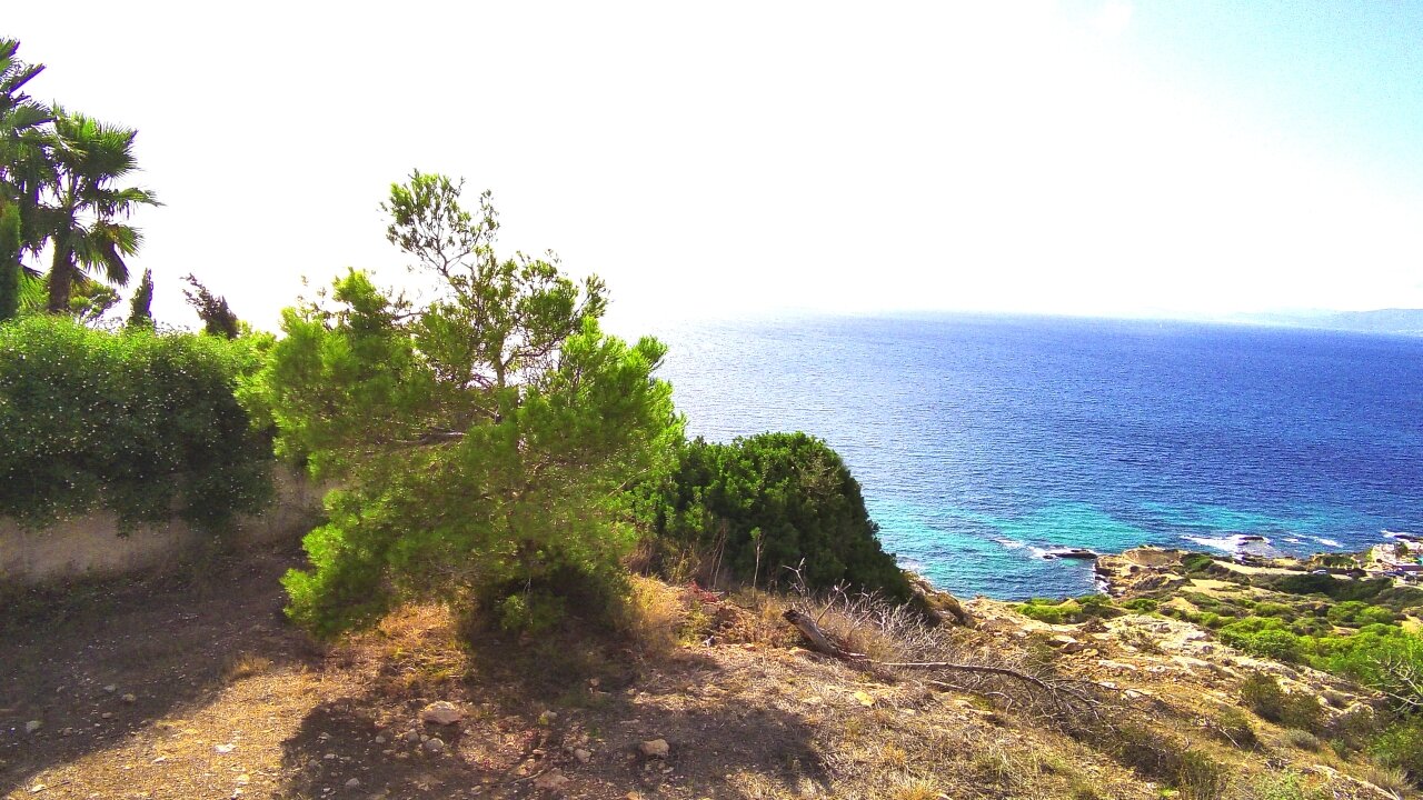 Baugrundstück First Line mit Blick auf die Bucht von Palma  