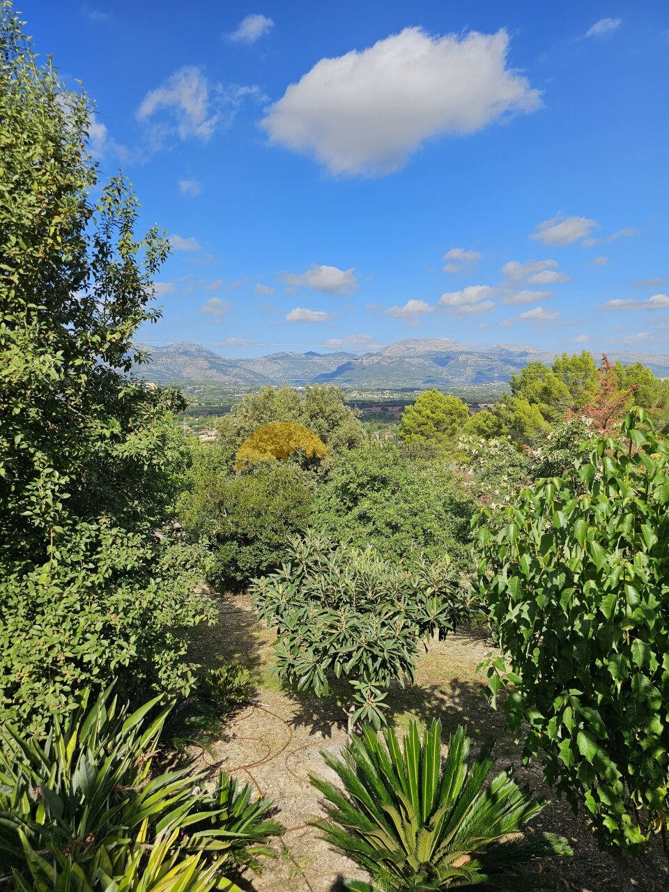 Naturbelassener Garten mit Panoramablick auf das Tal und die Bergkette Naturbelassener Garten mit Panoramablick auf das Tal und die Bergkette
