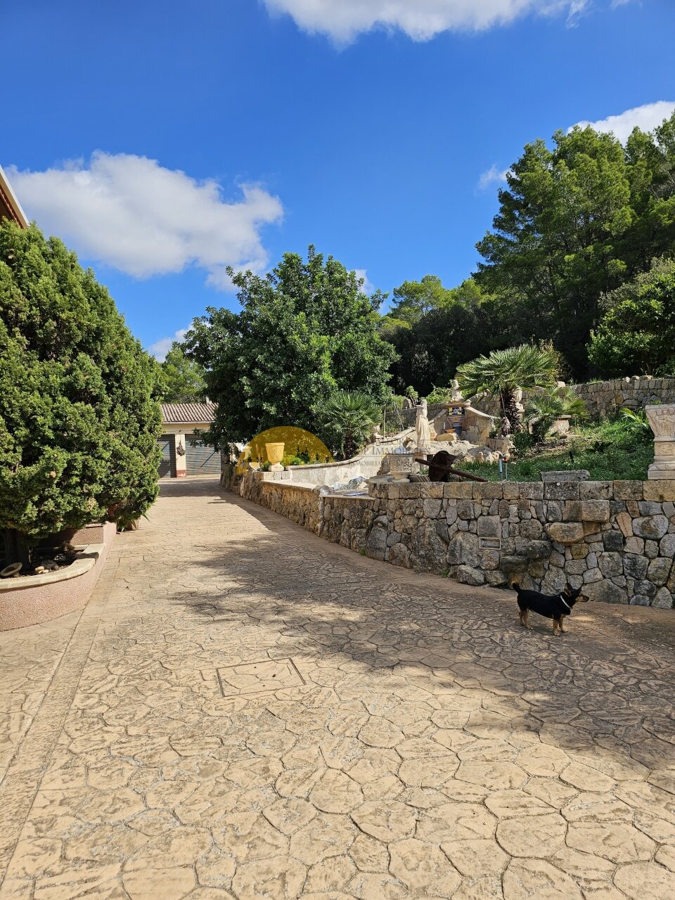 Gepflasterter Zugangsweg mit rustikalen Natursteinmauern und mediterranem Flair Gepflasterter Zugangsweg mit rustikalen Natursteinmauern und mediterranem Flair