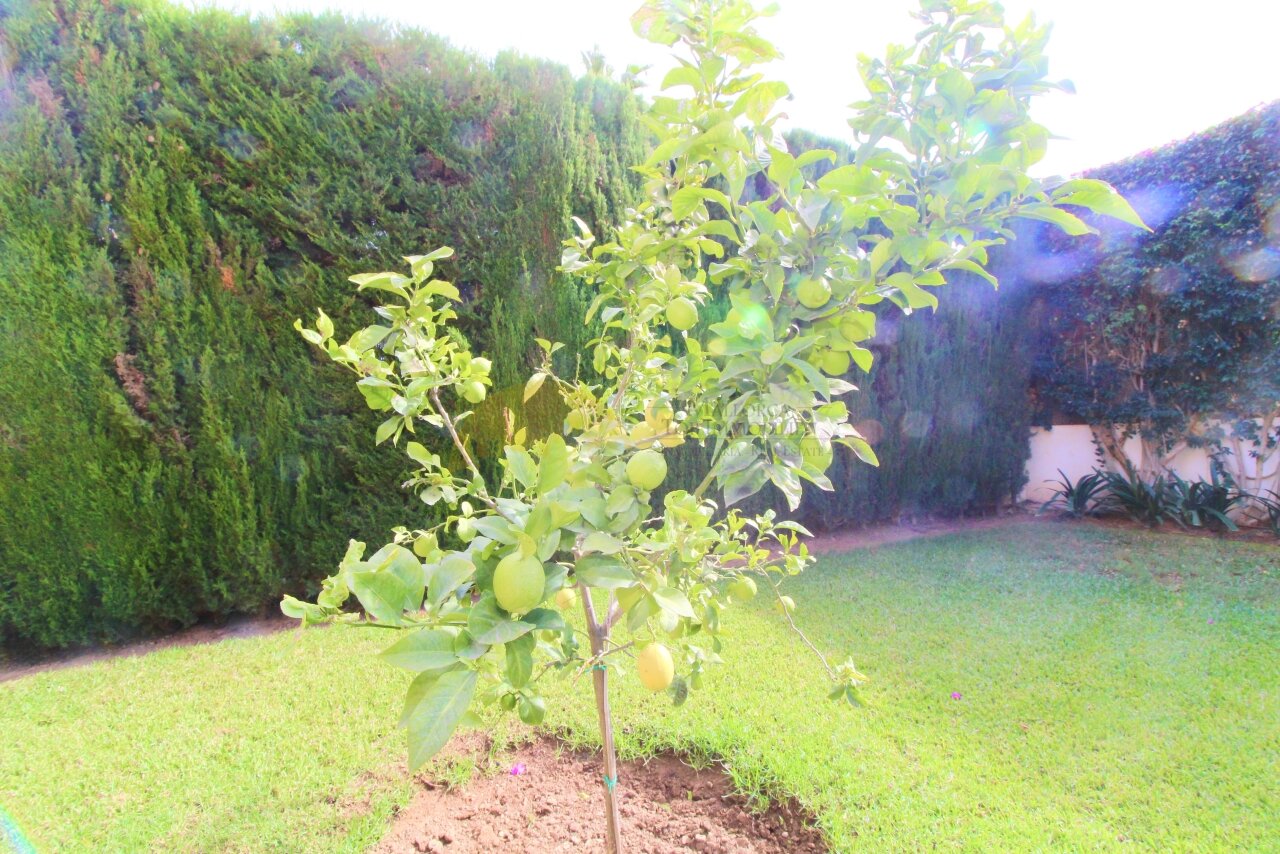 Garten Garten