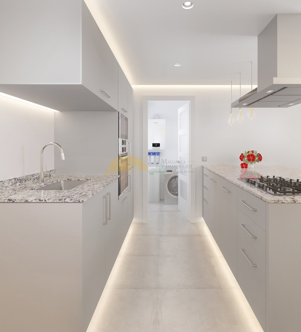 Moderne Galeerenküche mit direktem Zugang zur Waschküche und optimierter Arbeitsabläufe Moderne Galeerenküche mit direktem Zugang zur Waschküche und optimierter Arbeitsabläufe