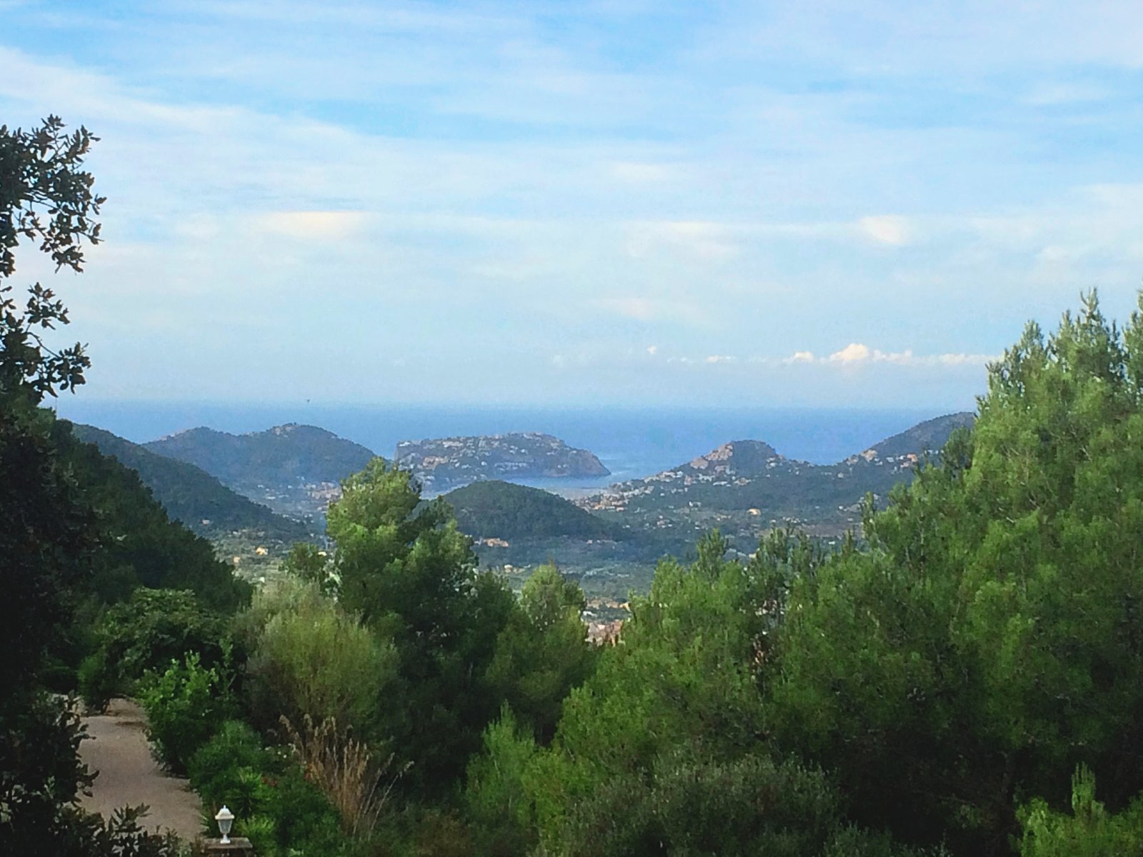 Ausblick Ausblick