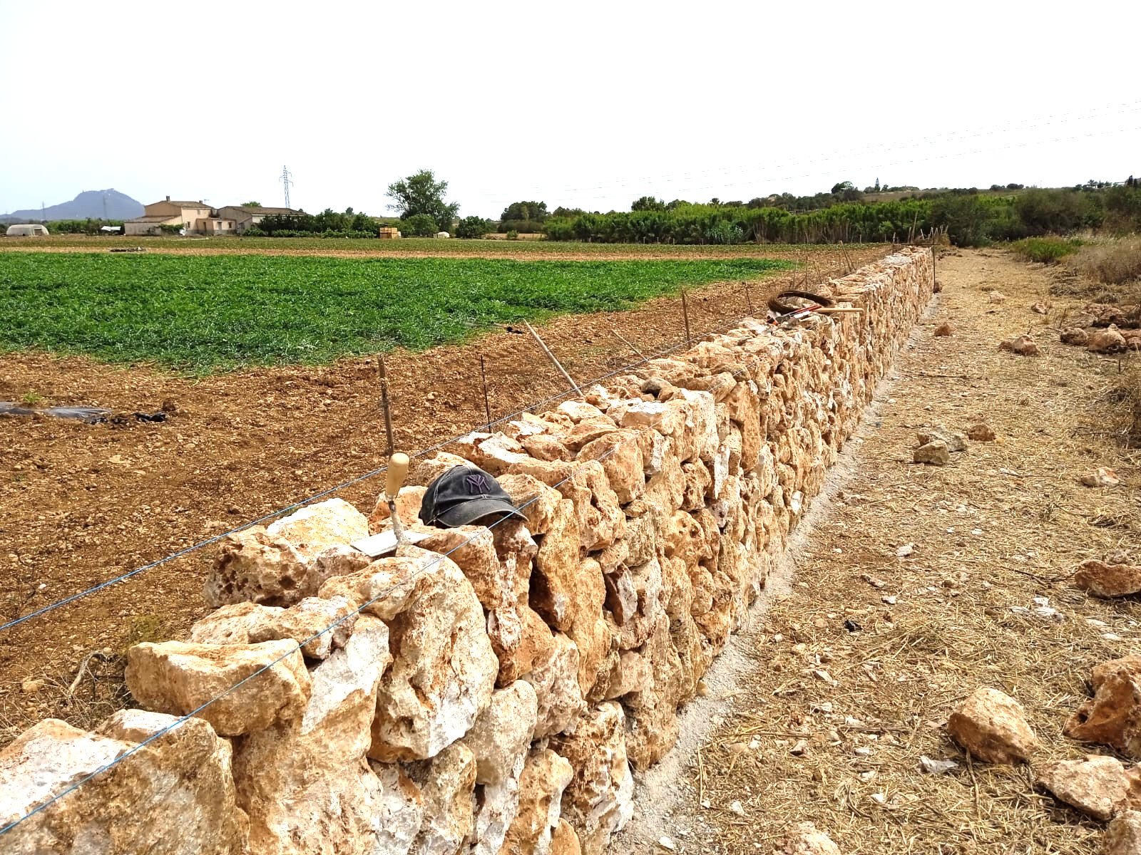 Authentische Steinmauer mit natürlicher Grundstücksabgrenzung und ländlichem Charakter Authentische Steinmauer mit natürlicher Grundstücksabgrenzung und ländlichem Charakter