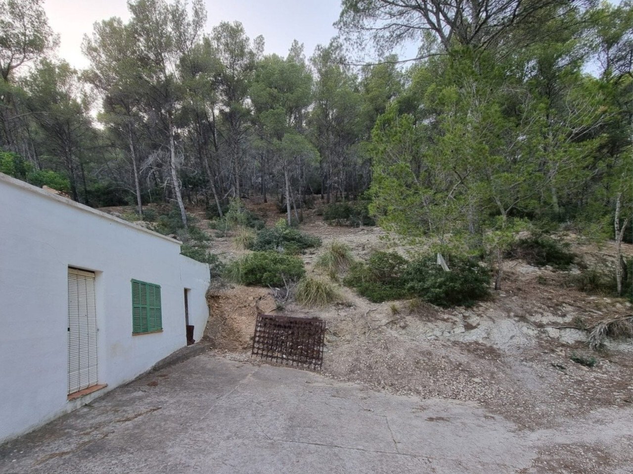 Naturnahe Lage mit direktem Waldanbindung und separatem Nebengebäude Naturnahe Lage mit direktem Waldanbindung und separatem Nebengebäude