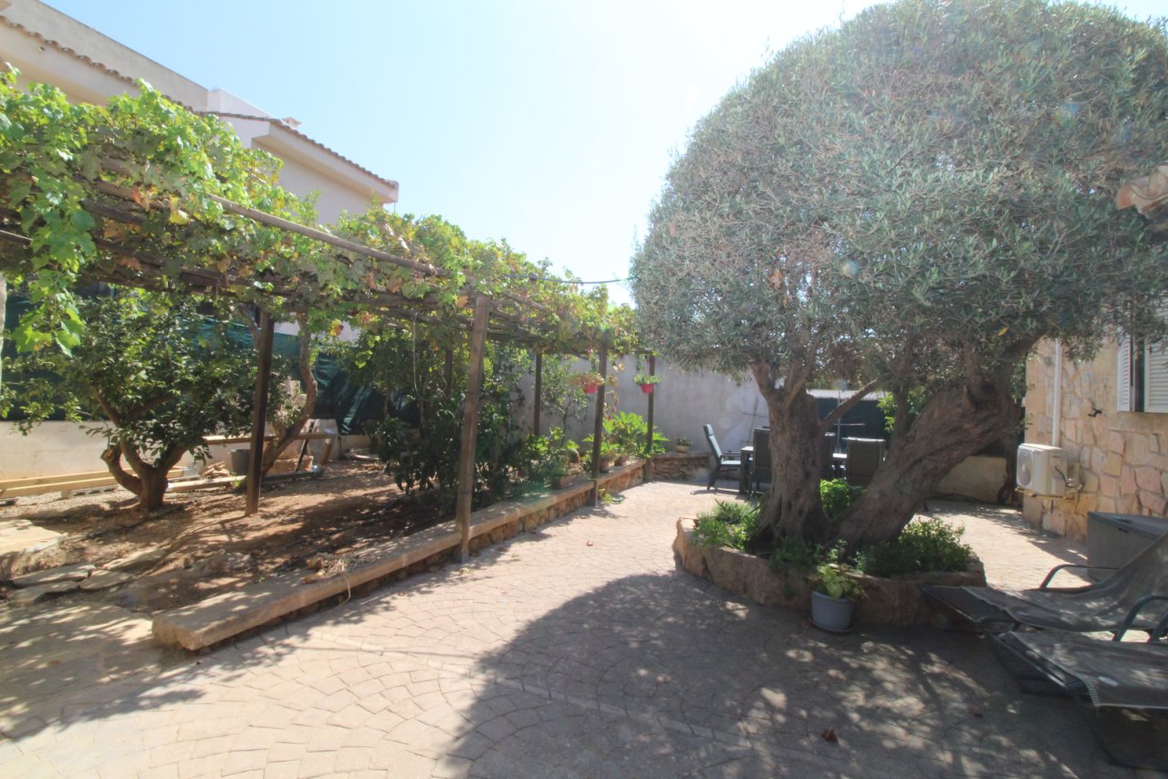 Obstgarten Obstgarten