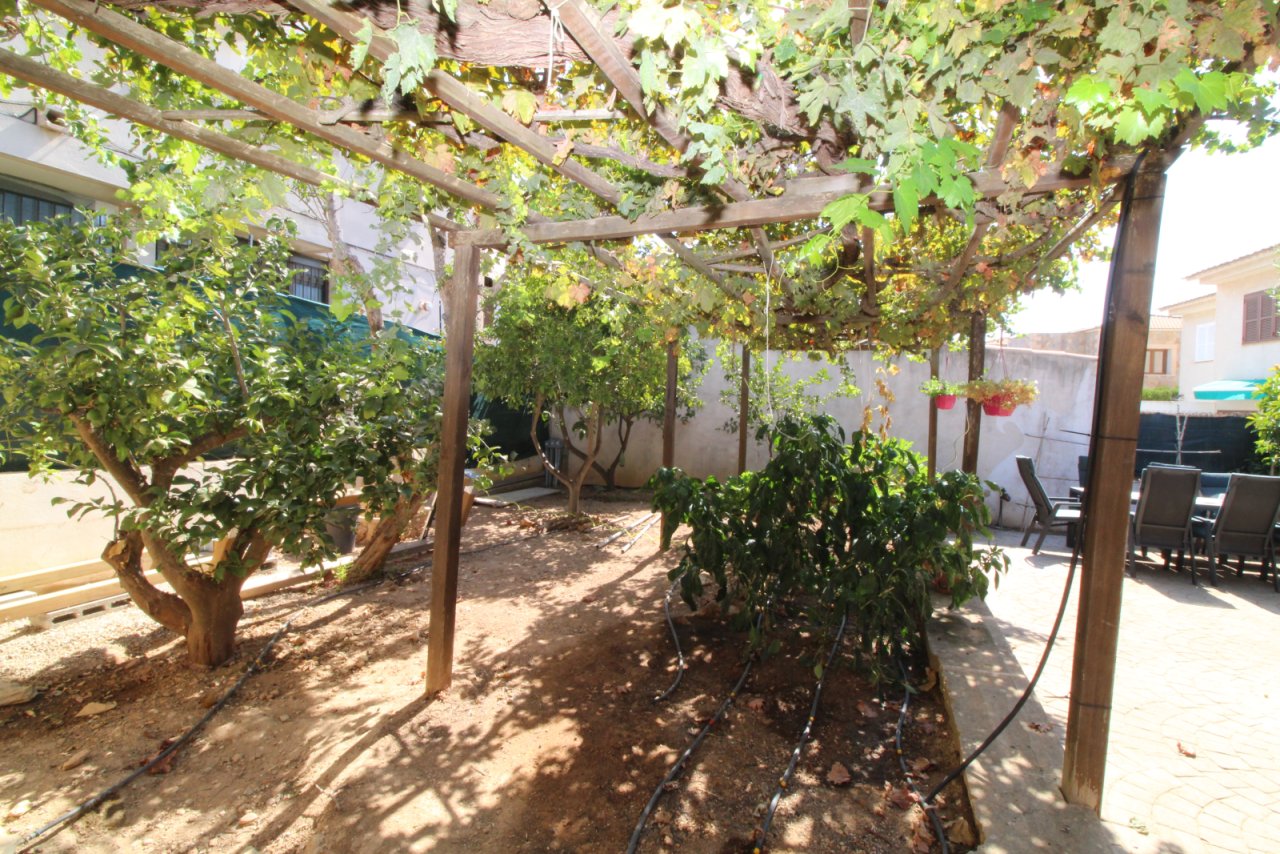 Obstgarten Obstgarten