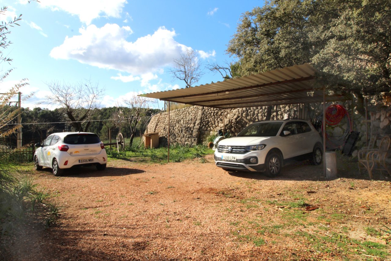 Praktischer Carport mit Überdachung und befestigter Stellplatzanlage