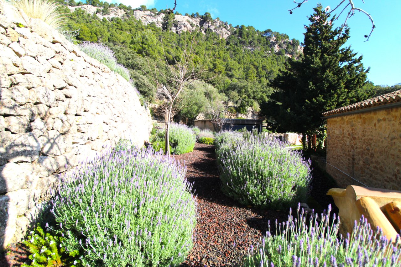 Mediterrane Gartenanlage mit Natursteinmauern und aromatischen Kräuterpflanzungen