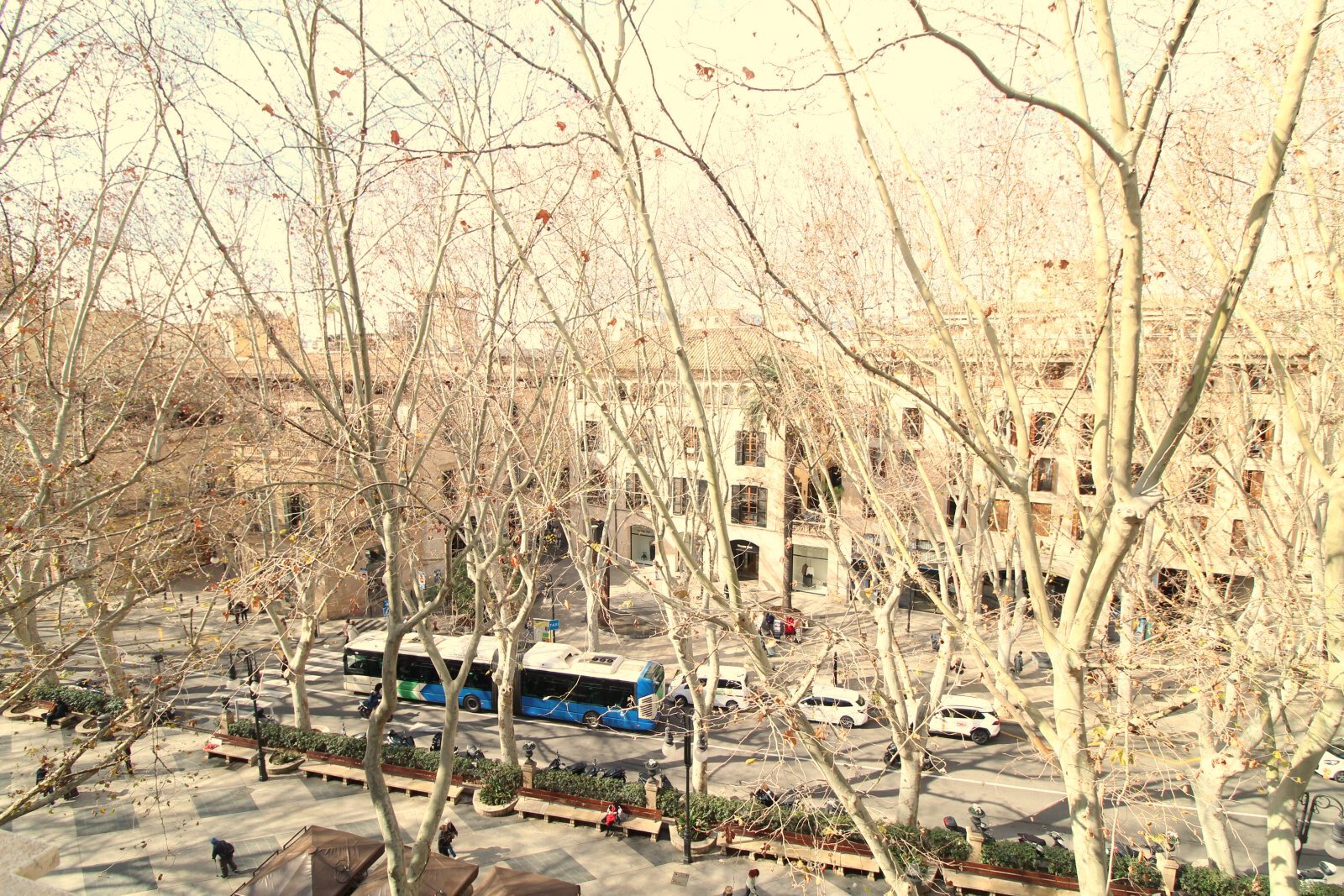 Blick auf den belebten Innenhofplatz mit angrenzenden Wohngebäuden Blick auf den belebten Innenhofplatz mit angrenzenden Wohngebäuden