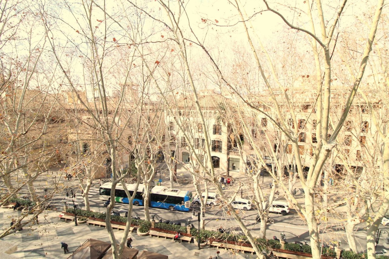 Blick auf den belebten Innenhofplatz mit angrenzenden Wohngebäuden Blick auf den belebten Innenhofplatz mit angrenzenden Wohngebäuden
