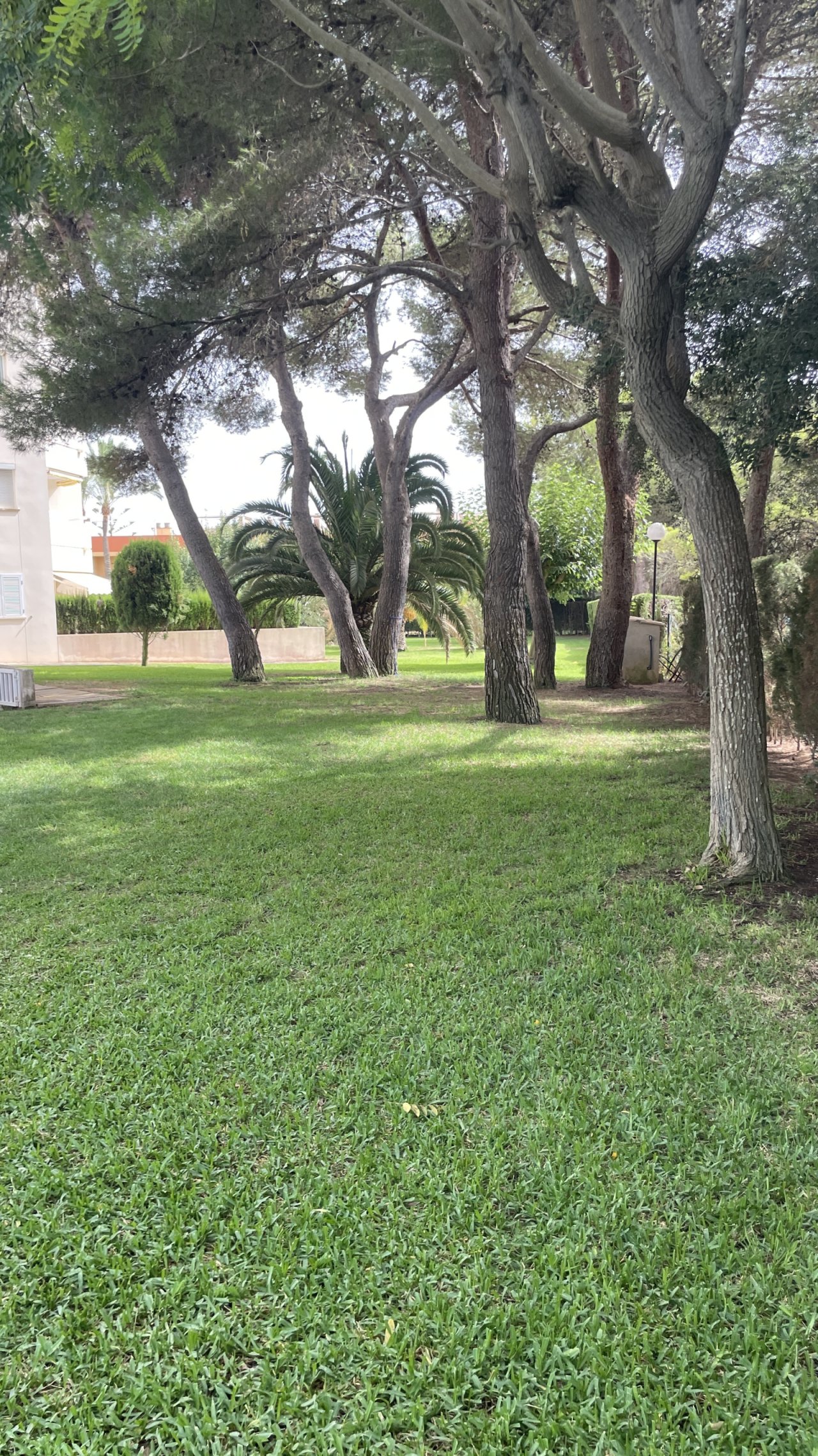 Park Park