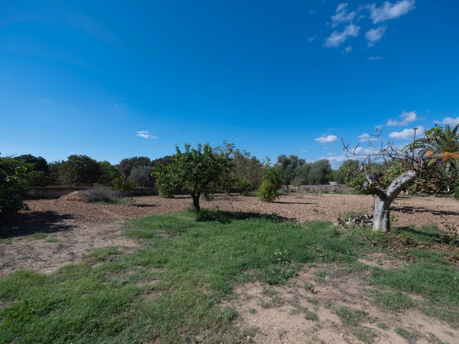 Exclusive Dream Finca with Pool and Charm – A Rare Opportunity in Central Mallorca