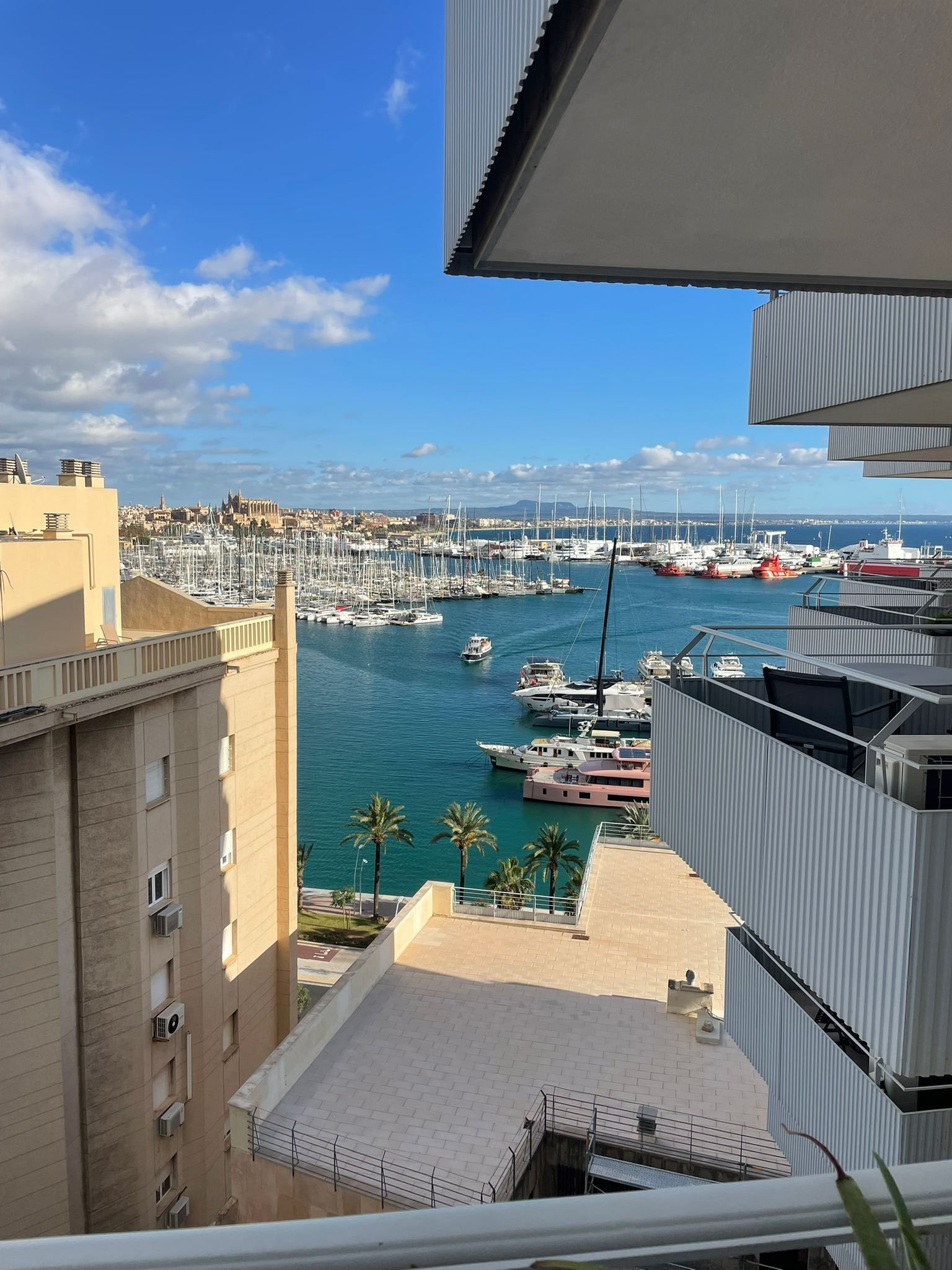 Exclusive Apartment with Sea and Cathedral Views – Palma Harbor Area Exclusive Apartment with Sea and Cathedral Views – Palma Harbor Area