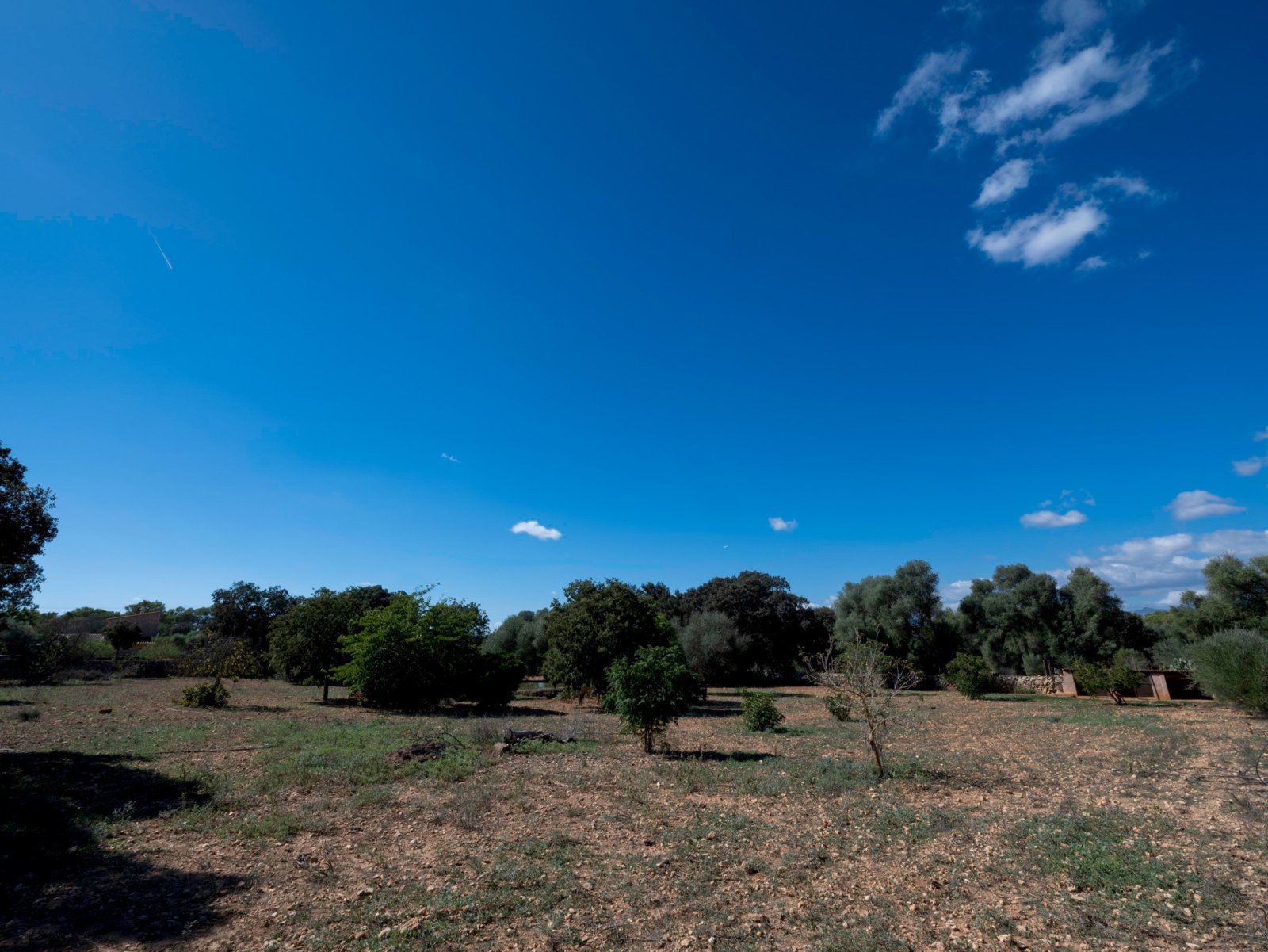 Exclusive Dream Finca with Pool and Charm – A Rare Opportunity in Central Mallorca