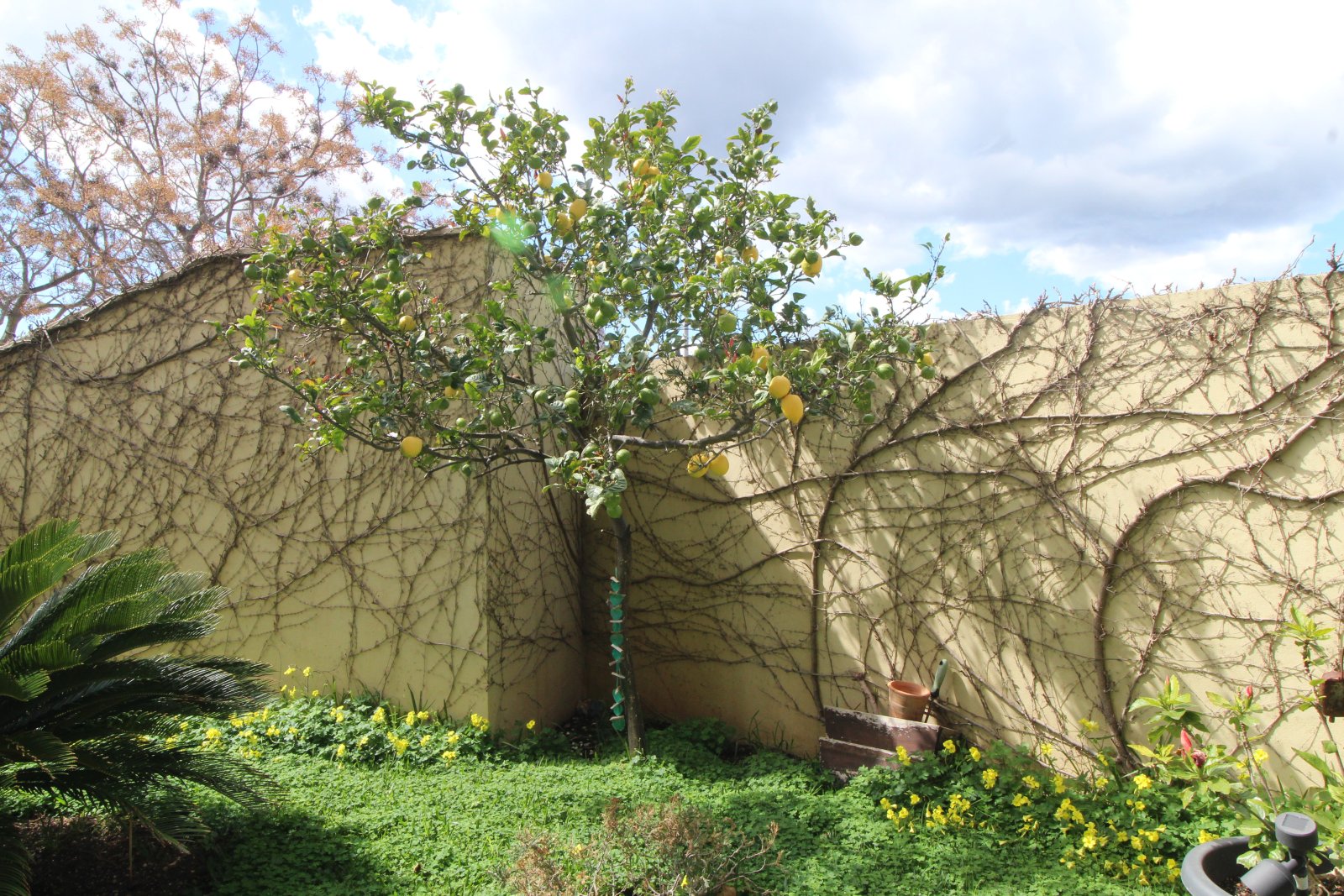 Exquisite first floor apartment with a Mediterranean lifestyle