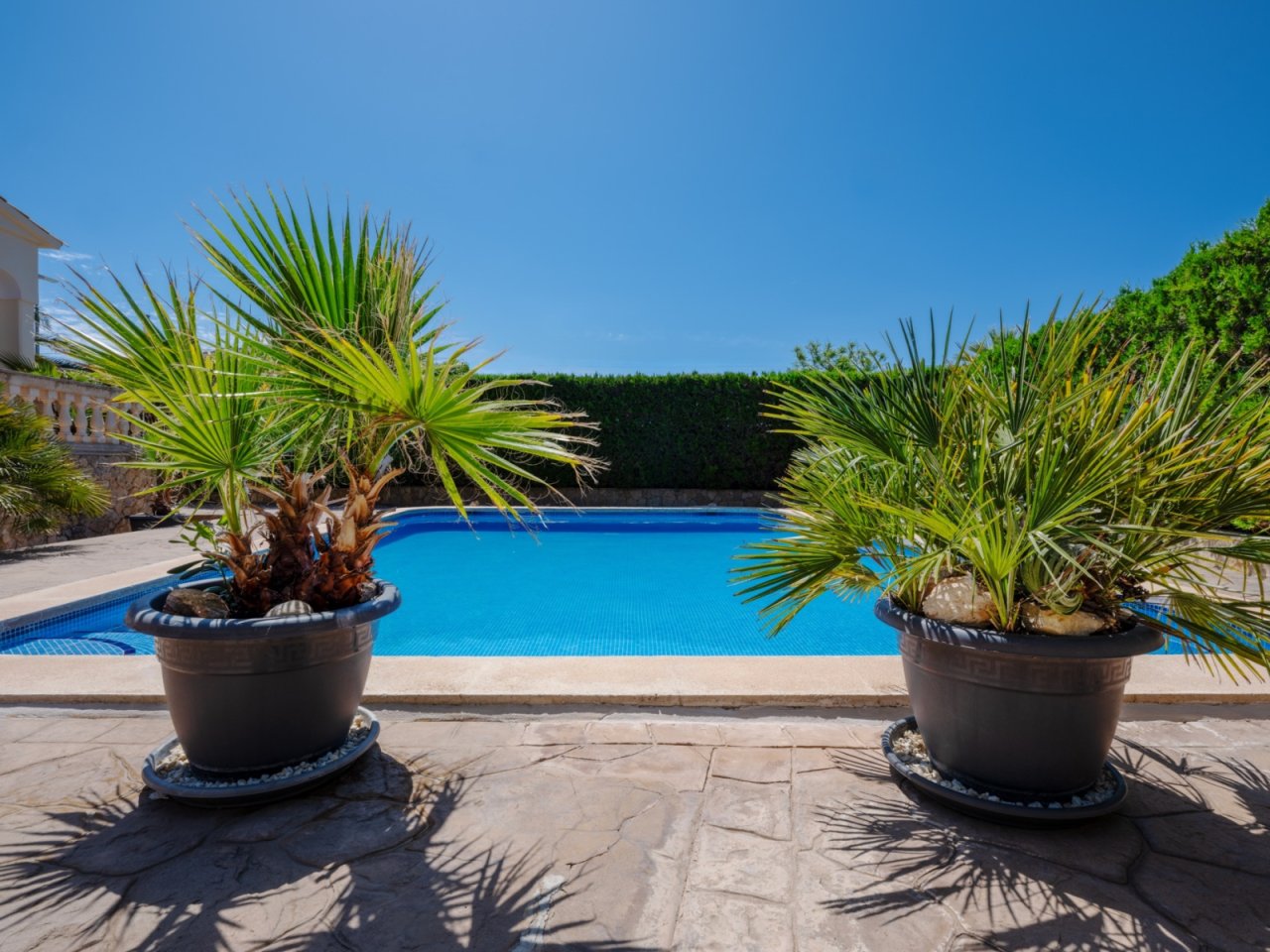 Poolbereich mit mediterranem Garten und hoher Privatsphäre Poolbereich mit mediterranem Garten und hoher Privatsphäre